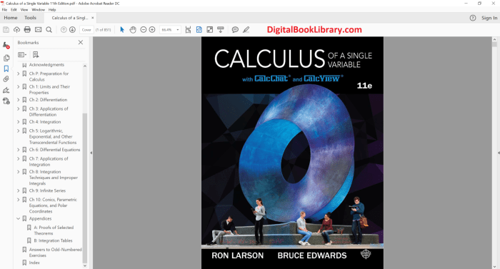 Calculus single variable 9th edition