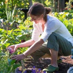 An online gardening magazine wants to understand