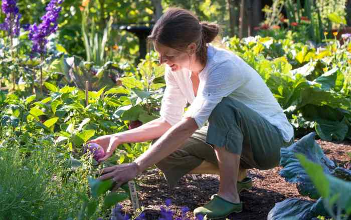 An online gardening magazine wants to understand